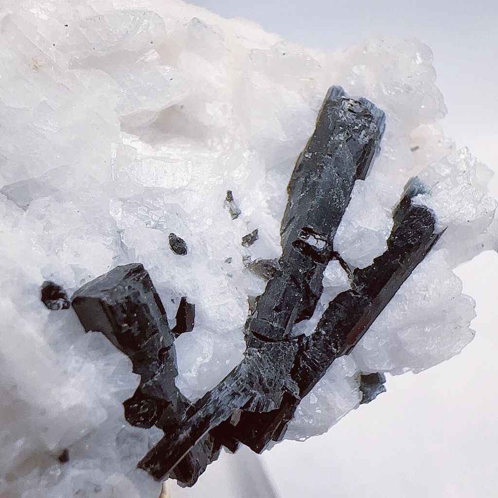 LINE_ALBUM_2024315_240315_2