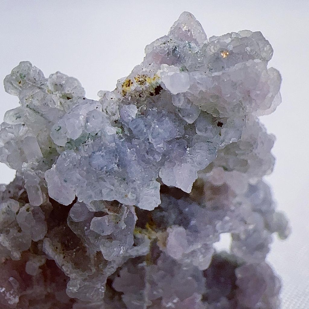 LINE_ALBUM_2024315_240315_13