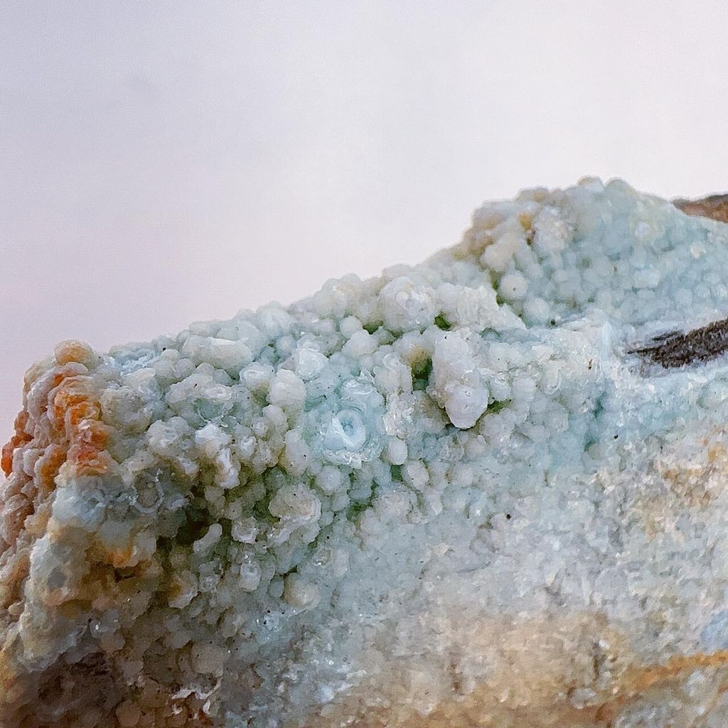 LINE_ALBUM_2024315 _1_240318_27