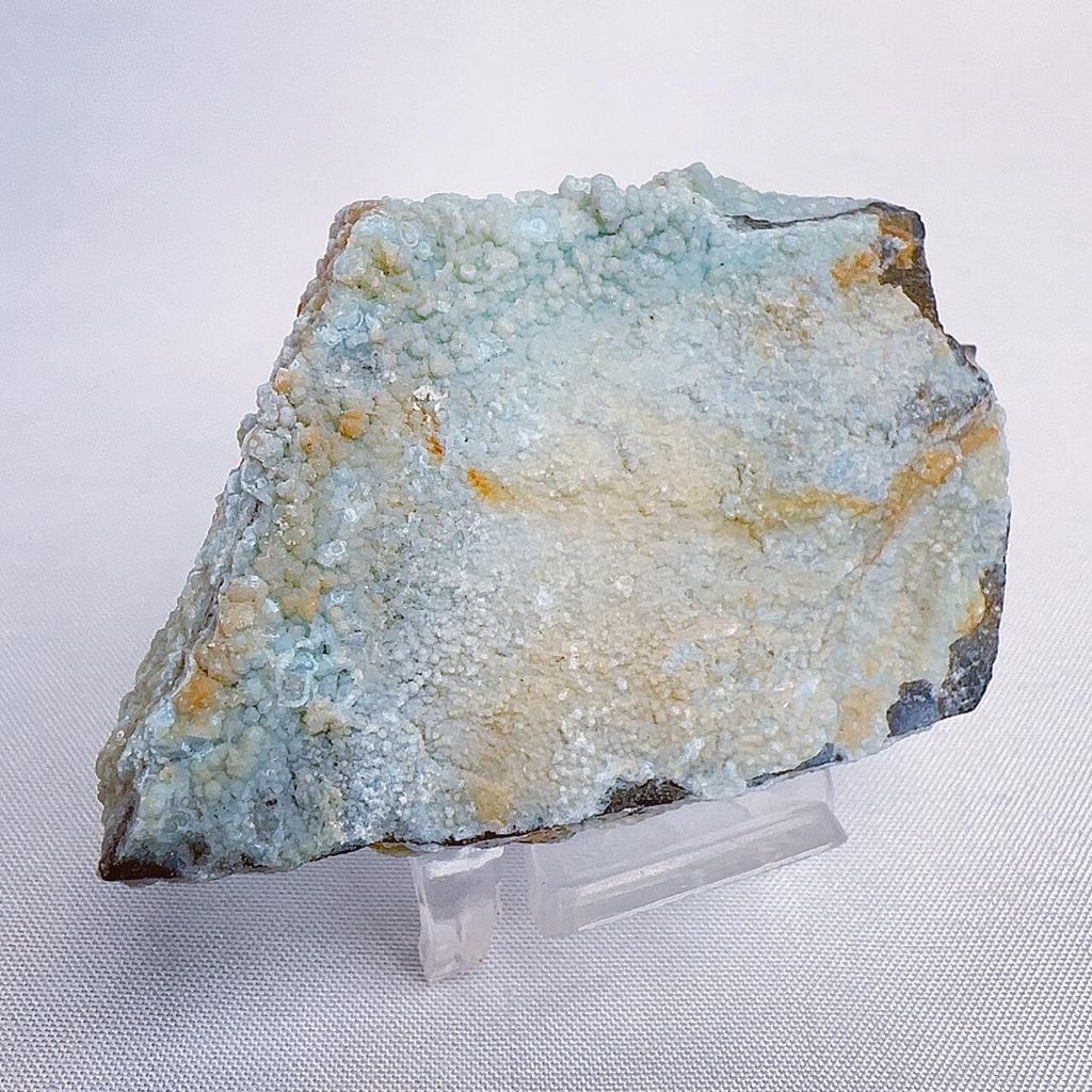 LINE_ALBUM_2024315 _1_240318_30