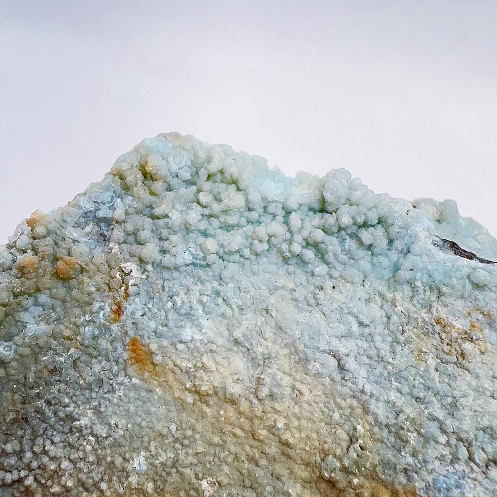 LINE_ALBUM_2024315 _1_240318_29