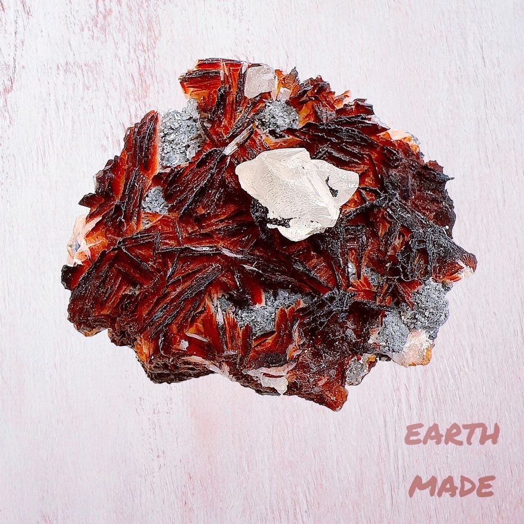 LINE_ALBUM_2024315 _1_240318_36