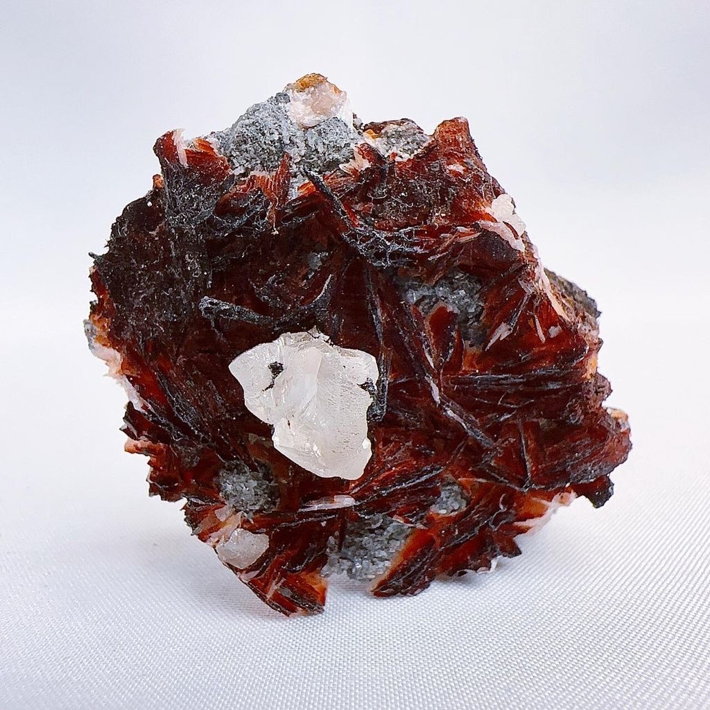 LINE_ALBUM_2024315 _1_240318_34