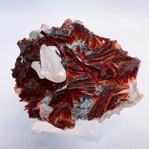 LINE_ALBUM_2024315 _1_240318_35