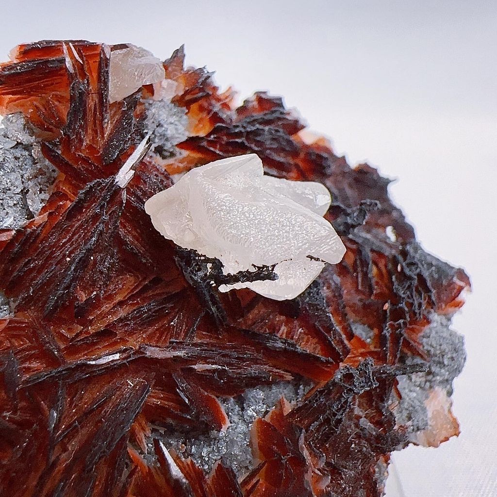 LINE_ALBUM_2024315 _1_240318_33