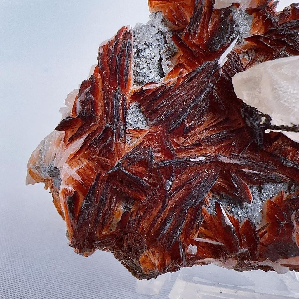 LINE_ALBUM_2024315 _1_240318_32