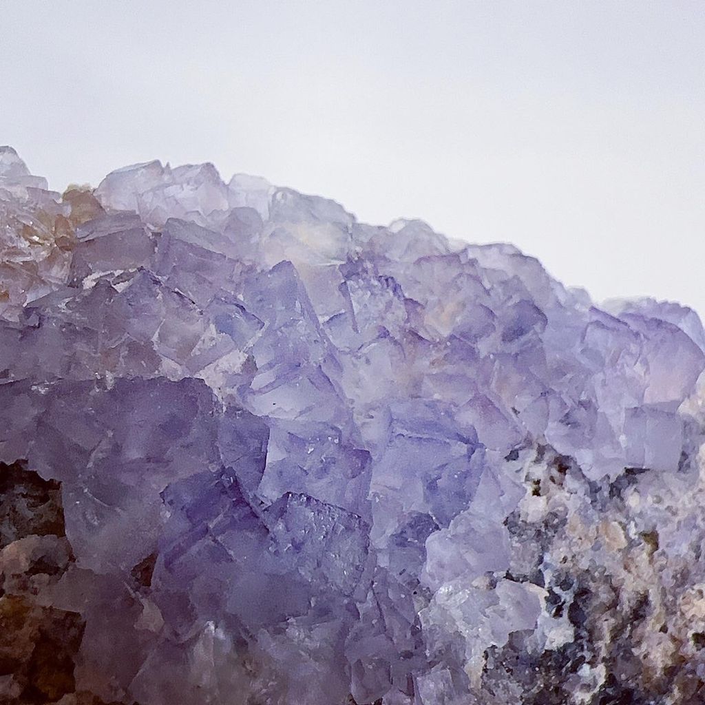 LINE_ALBUM_2024325_240325_27