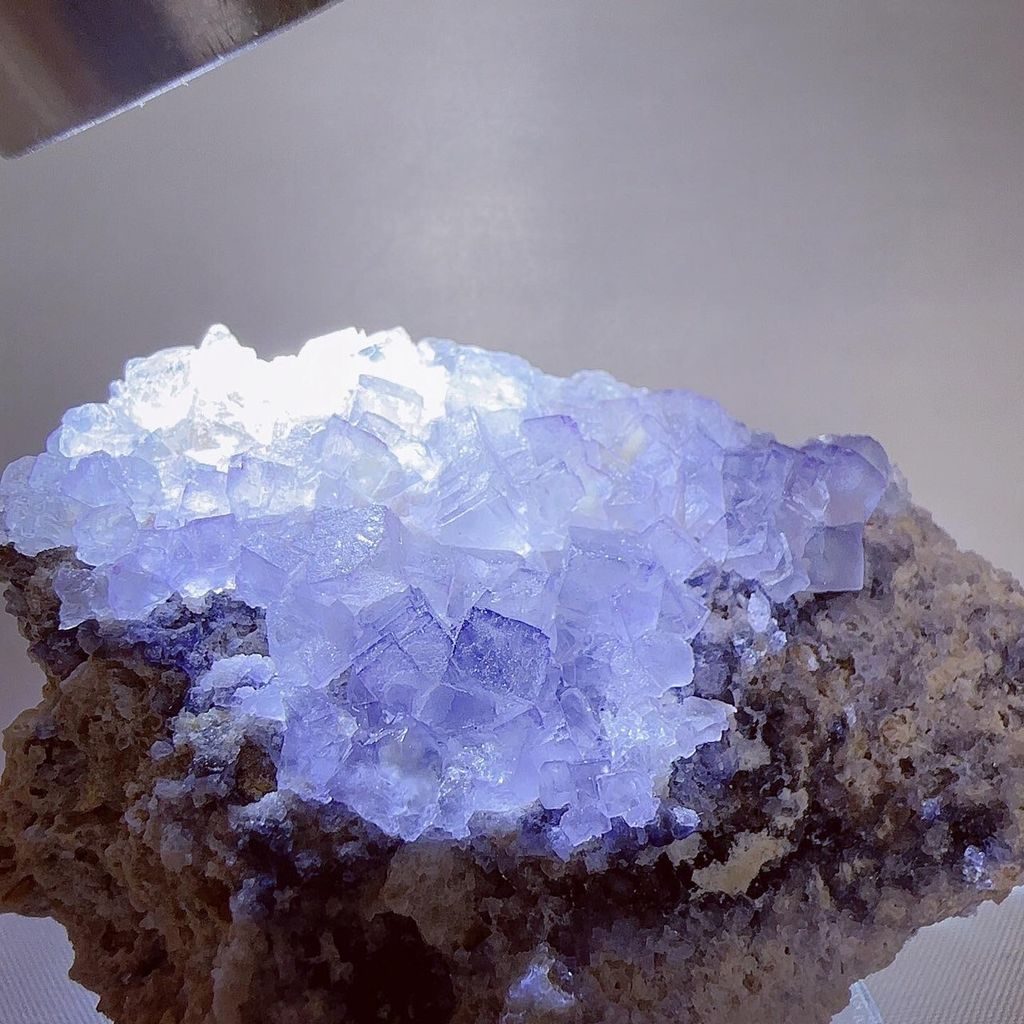 LINE_ALBUM_2024325_240325_26