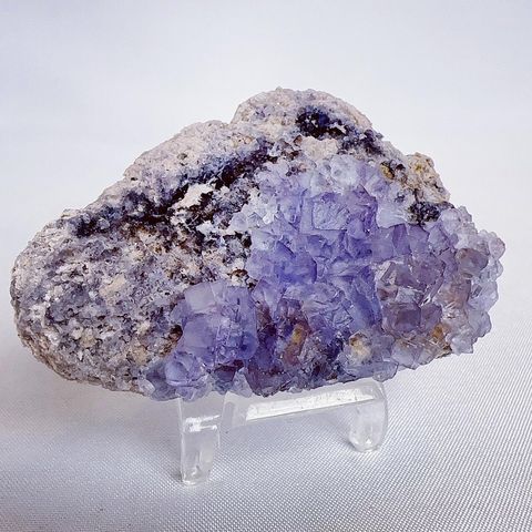 LINE_ALBUM_2024325_240325_29