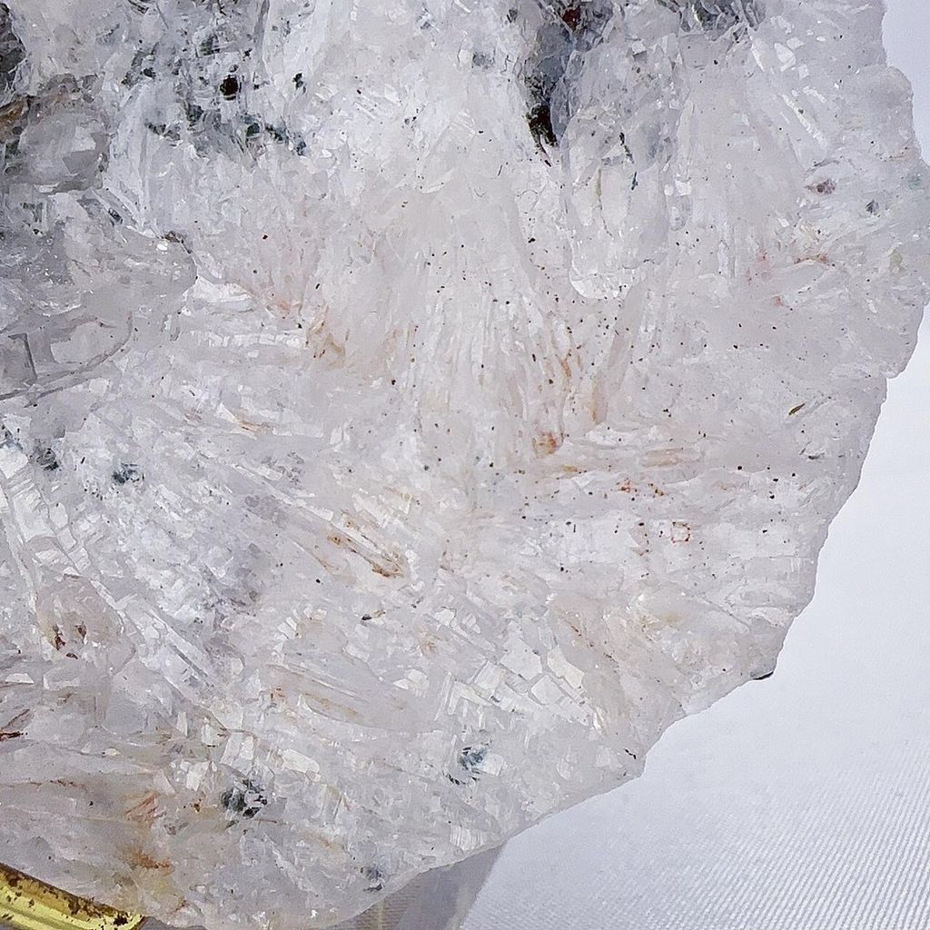 LINE_ALBUM_2024327_240327_5