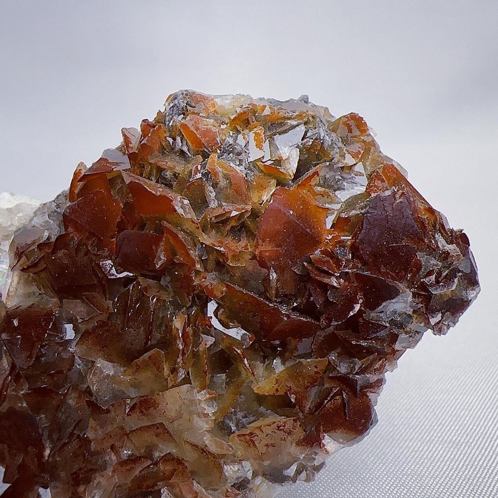 LINE_ALBUM_2024329_240329_40