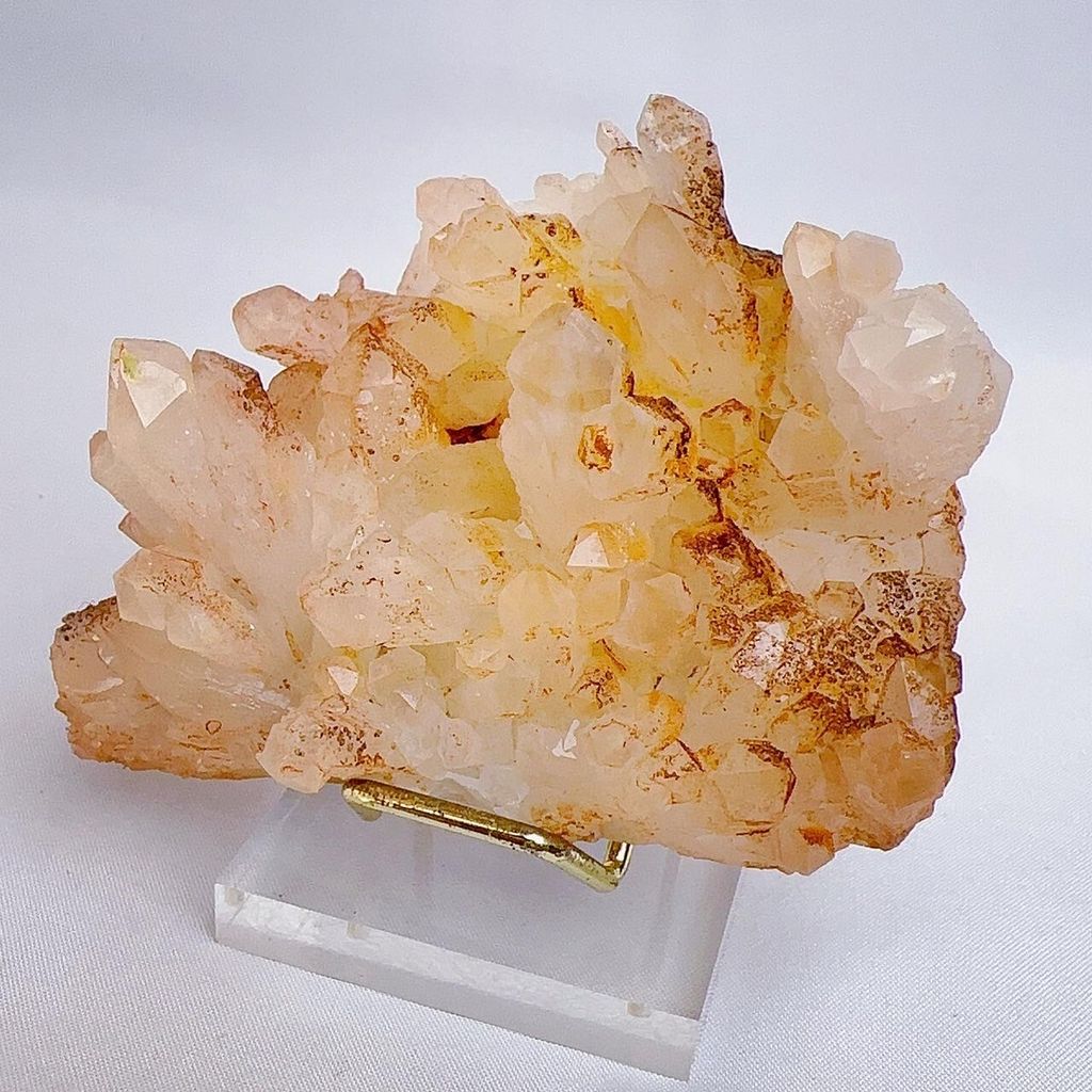 LINE_ALBUM_2024329_240329_19