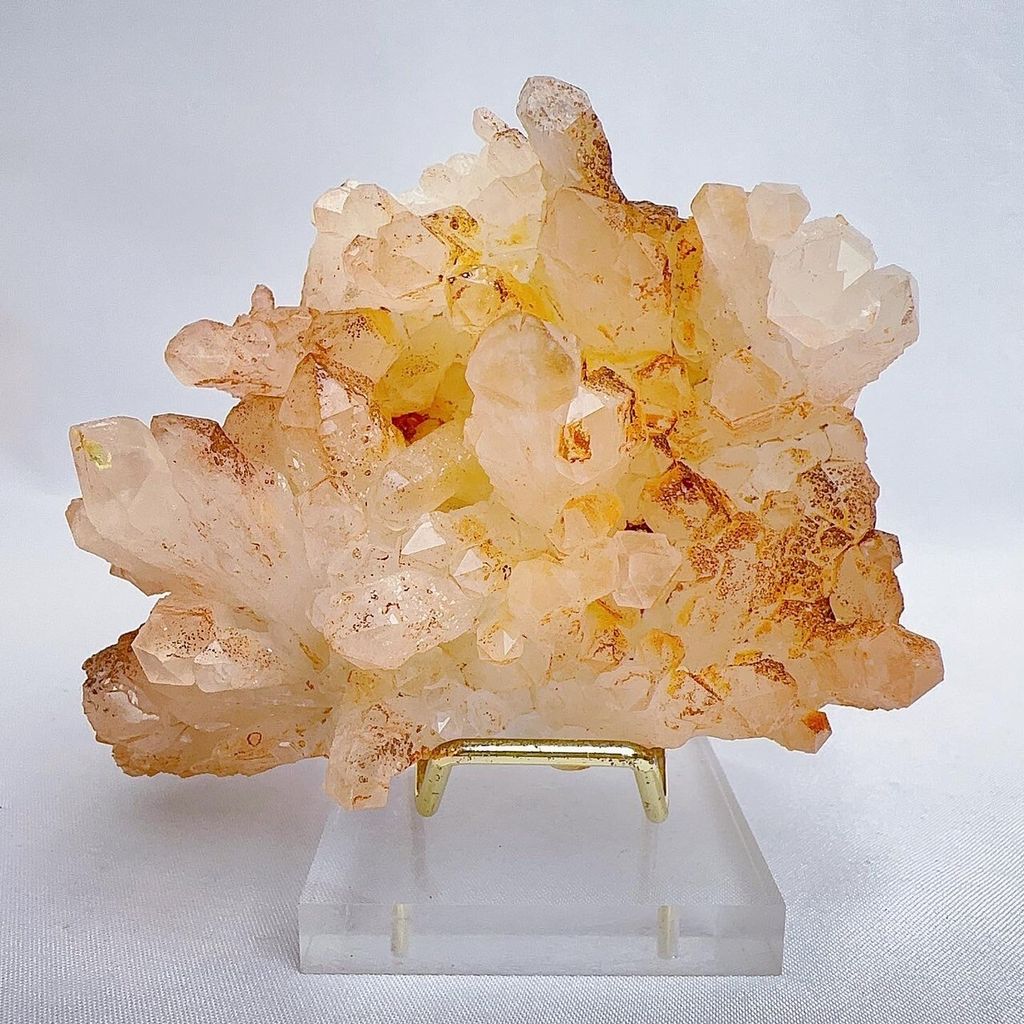 LINE_ALBUM_2024329_240329_20