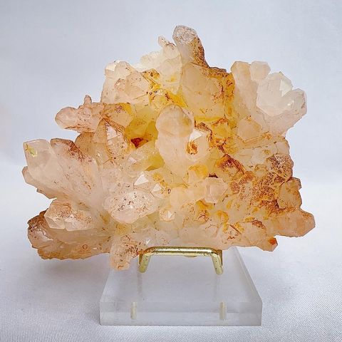 LINE_ALBUM_2024329_240329_20