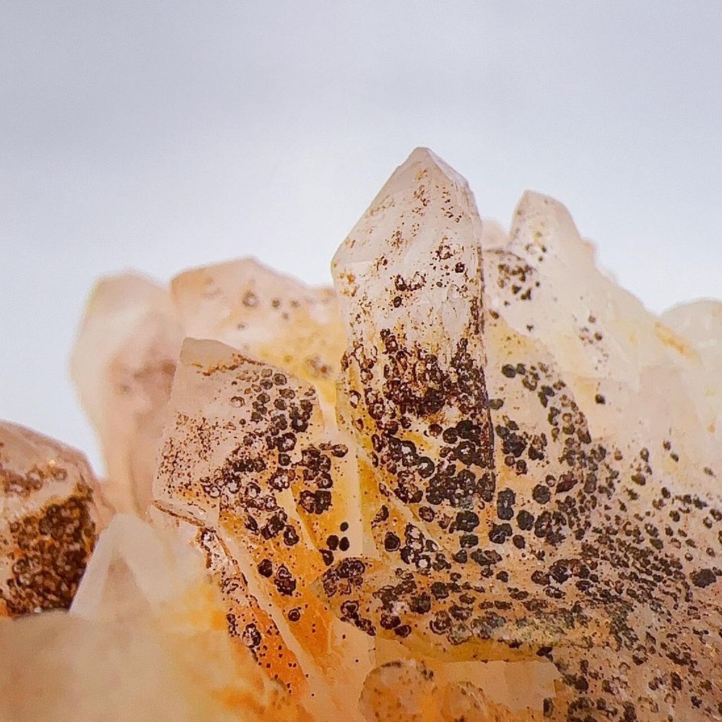 LINE_ALBUM_2024329_240329_16