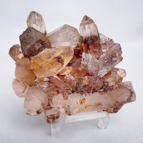 LINE_ALBUM_2024329 _1_240329_4