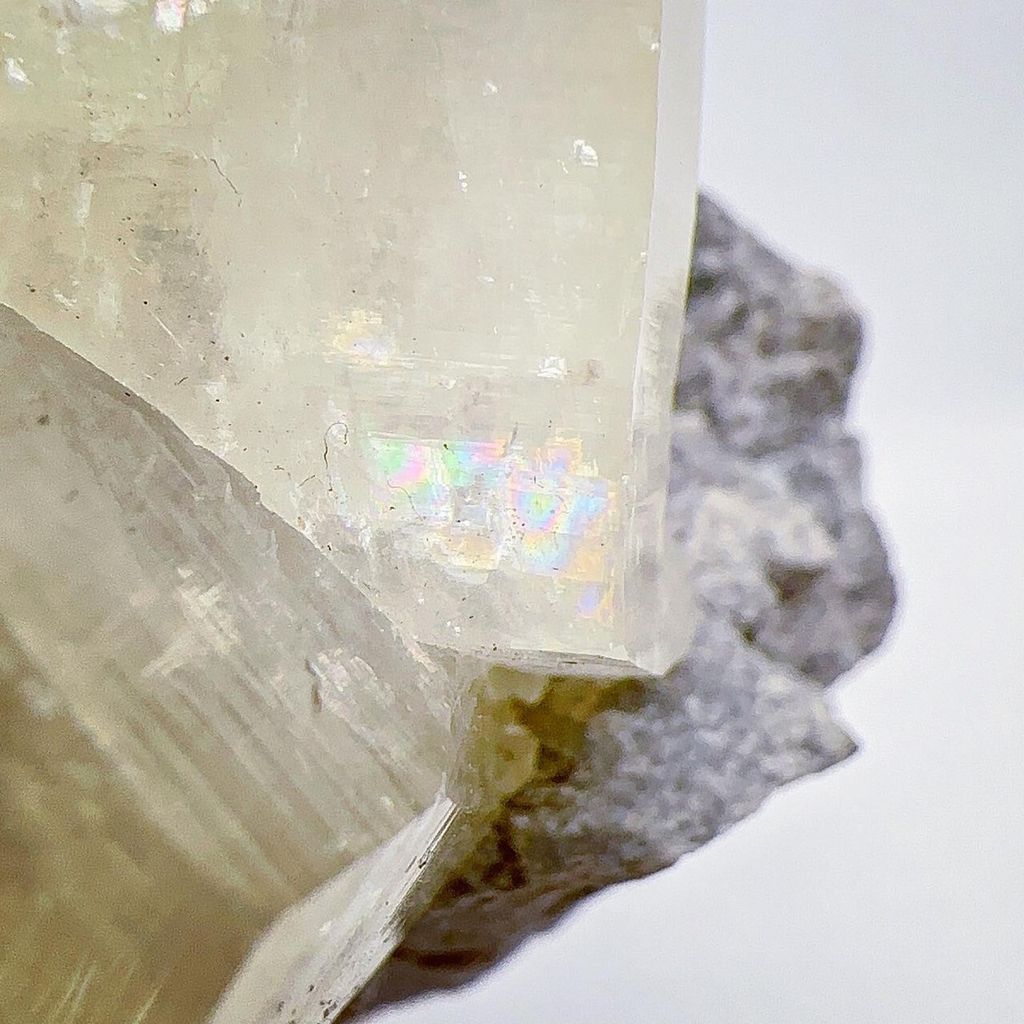 LINE_ALBUM_202442_240402_27