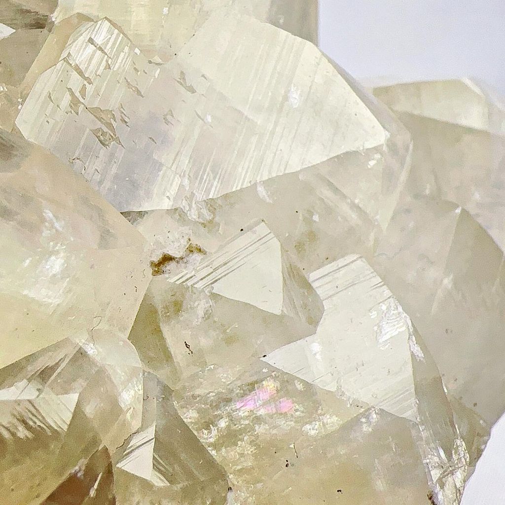 LINE_ALBUM_202442_240402_26