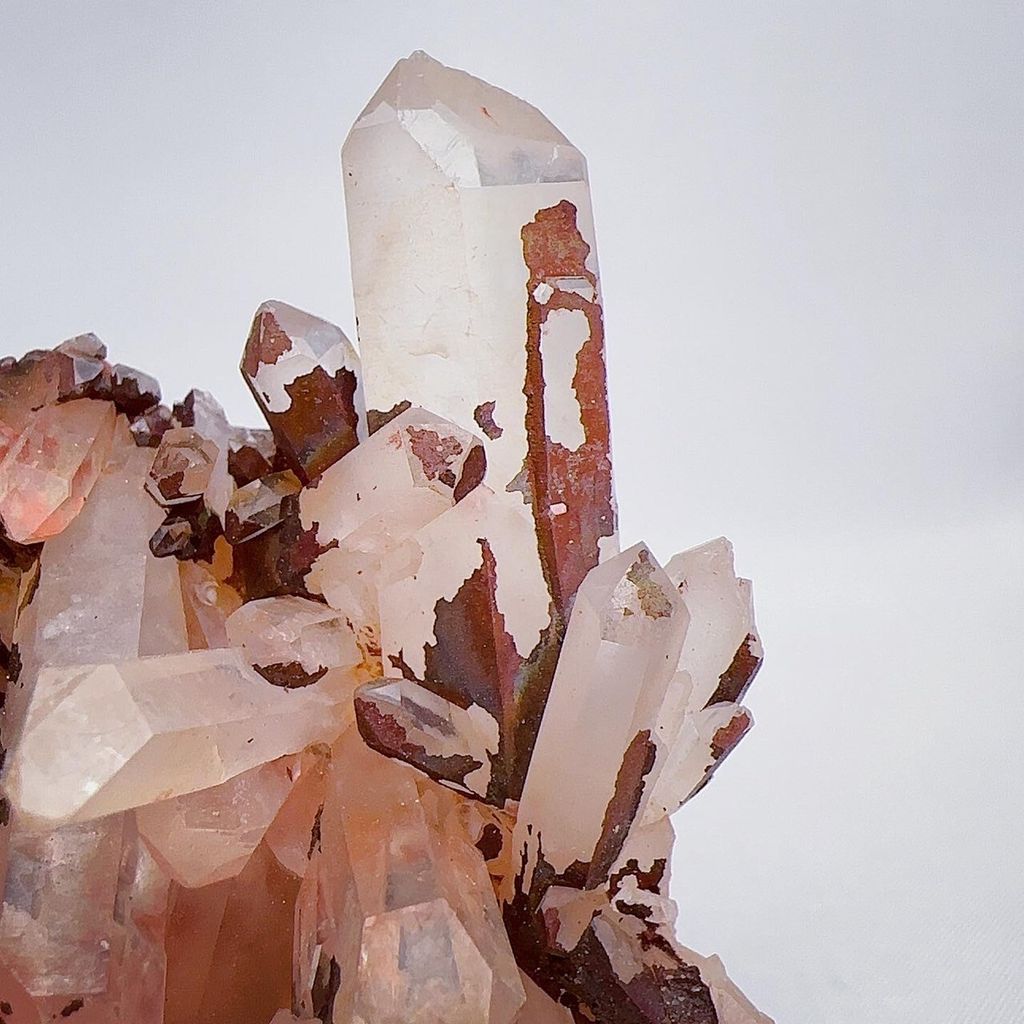 LINE_ALBUM_202442_240402_21