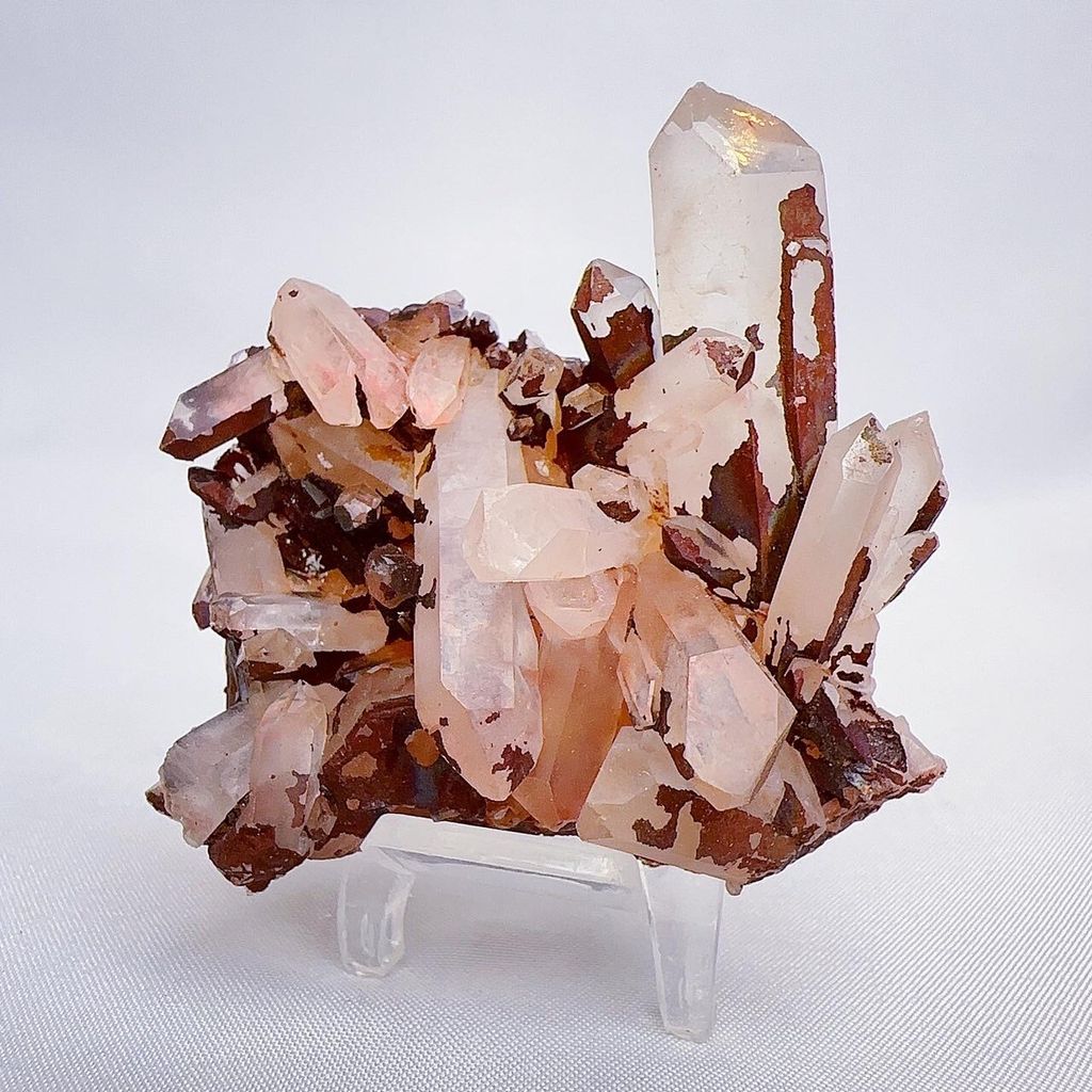 LINE_ALBUM_202442_240402_24