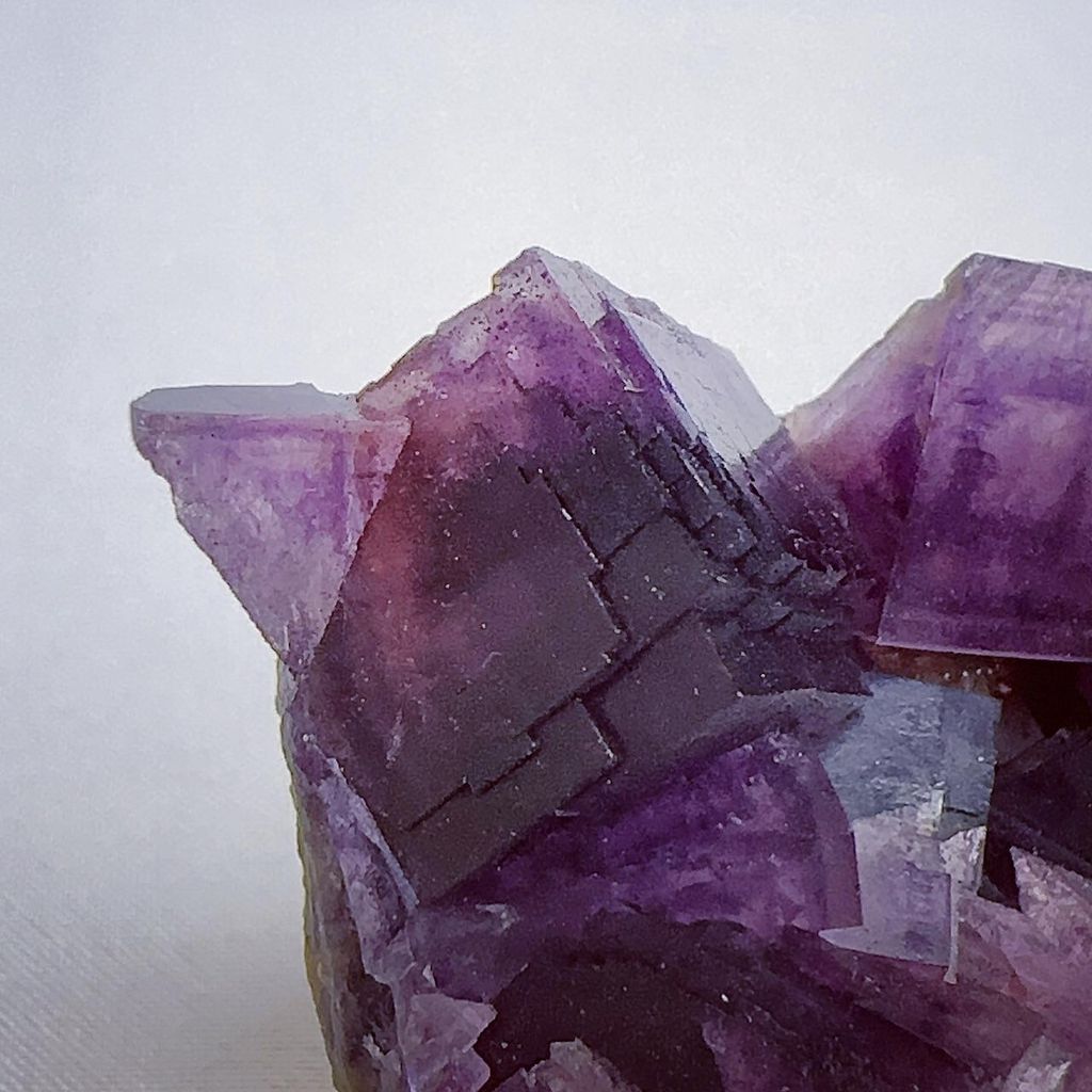 LINE_ALBUM__240403_13