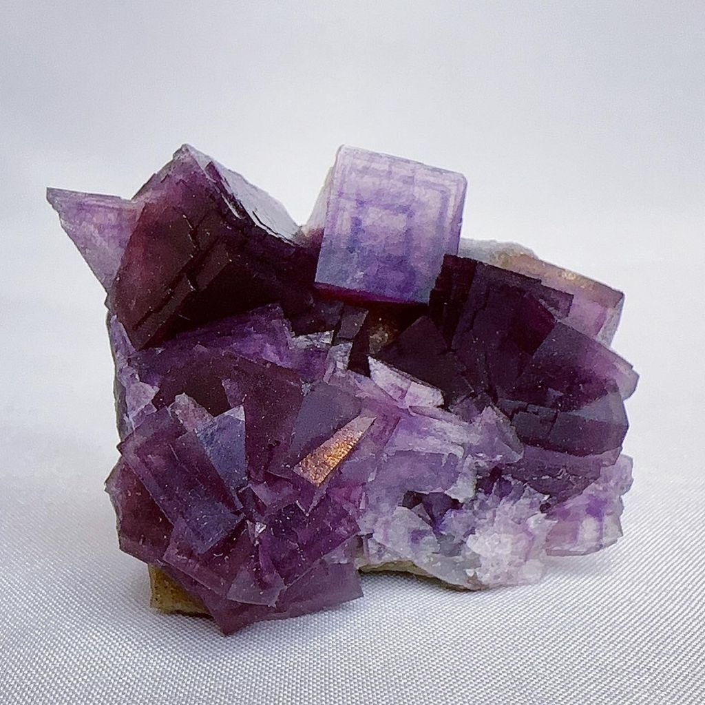 LINE_ALBUM__240403_15