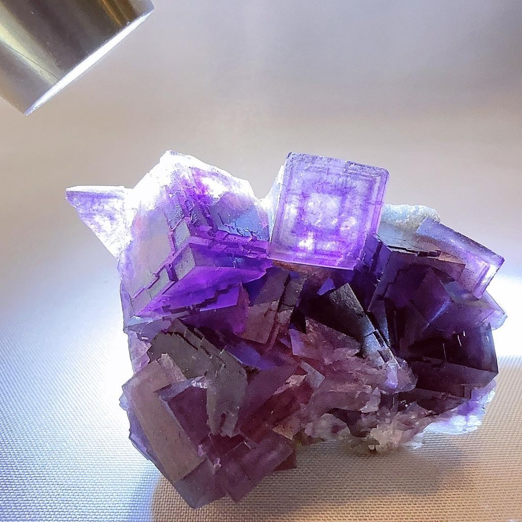 LINE_ALBUM__240403_11