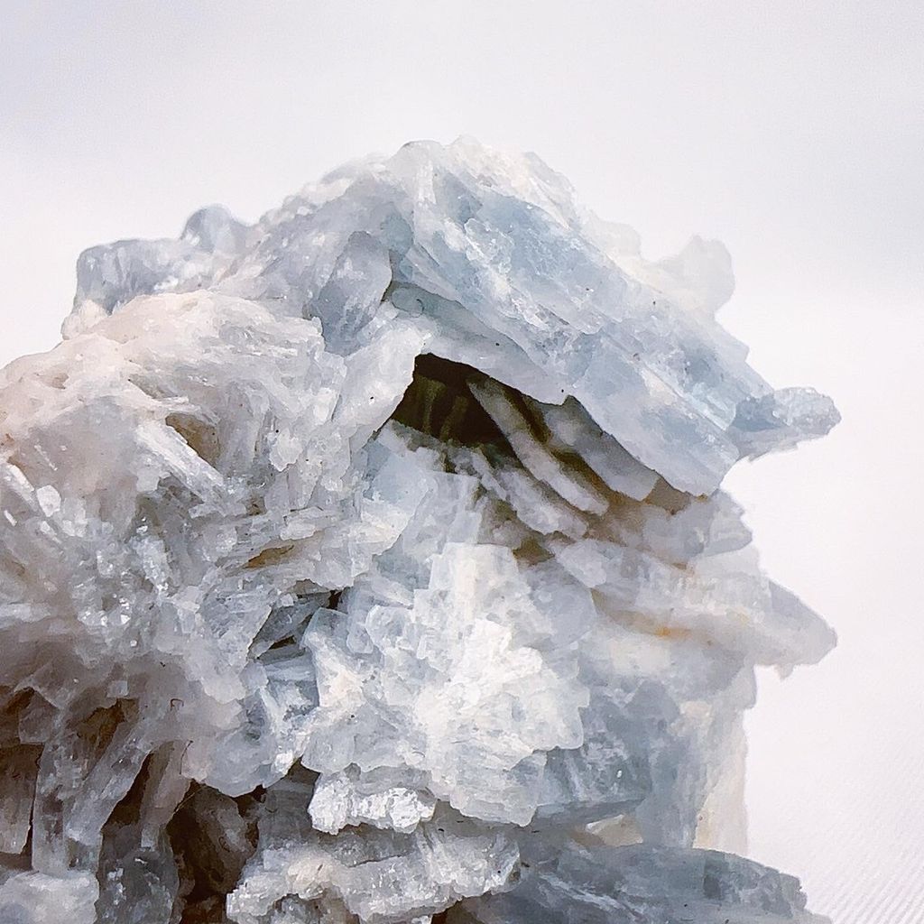 LINE_ALBUM__240403_18