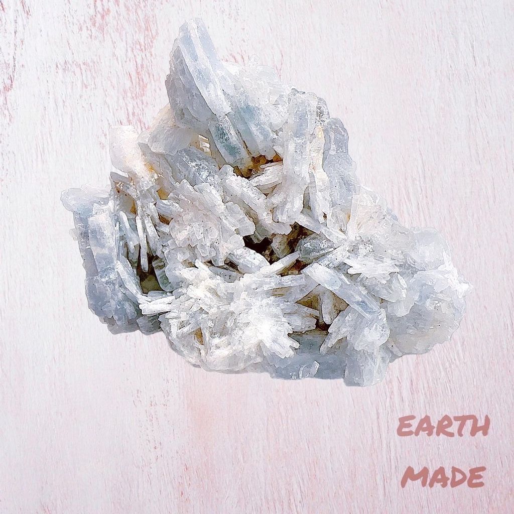 LINE_ALBUM__240403_21