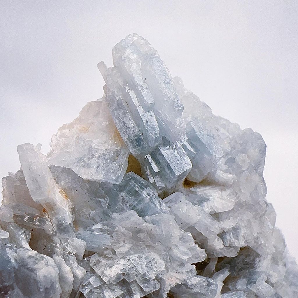 LINE_ALBUM__240403_17