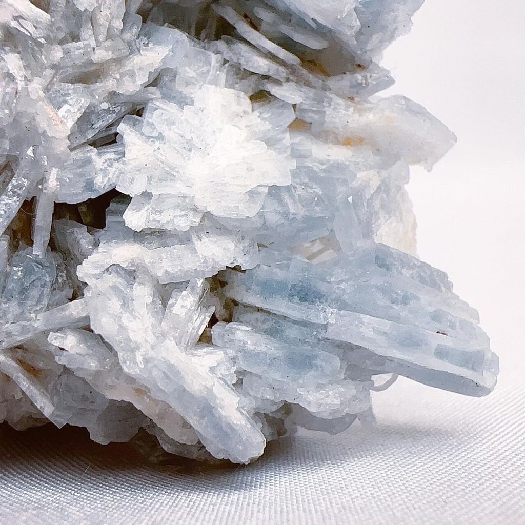 LINE_ALBUM__240403_19