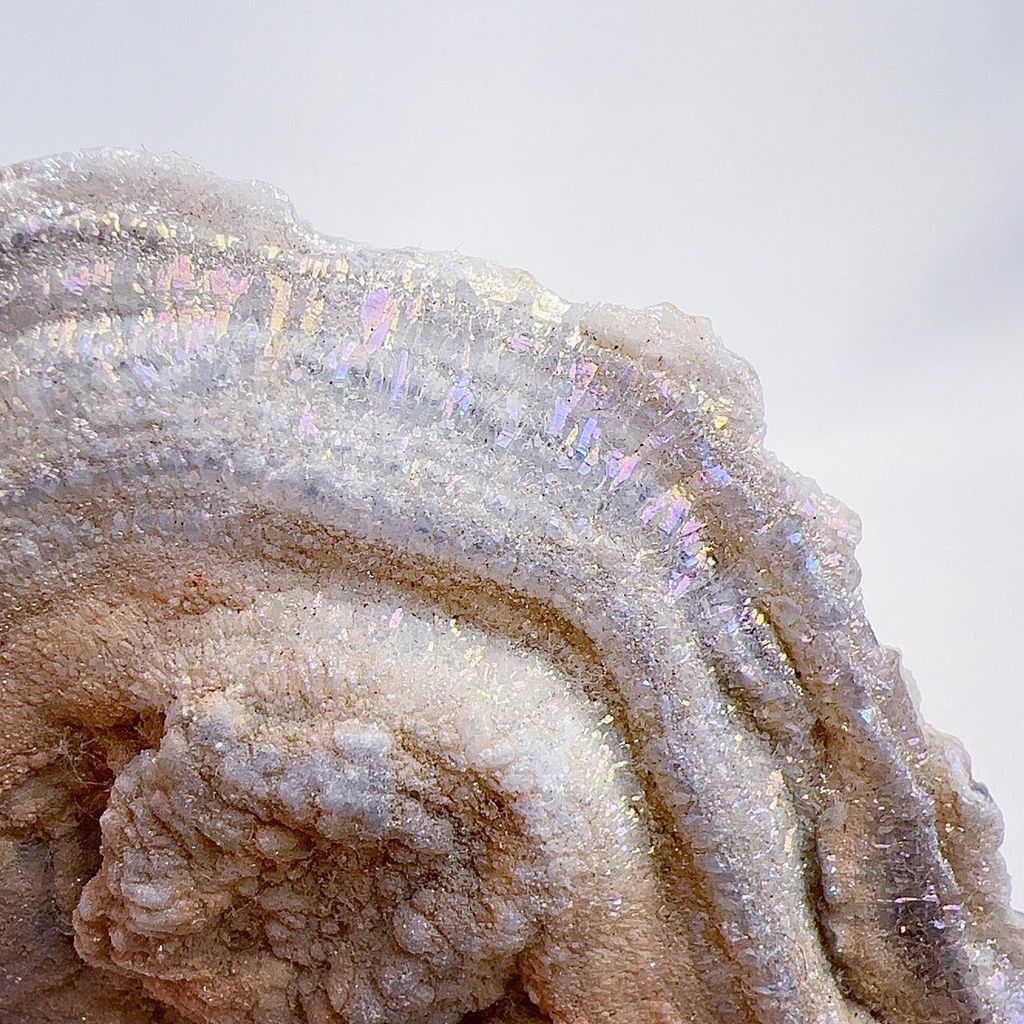 LINE_ALBUM_202443_240403_1