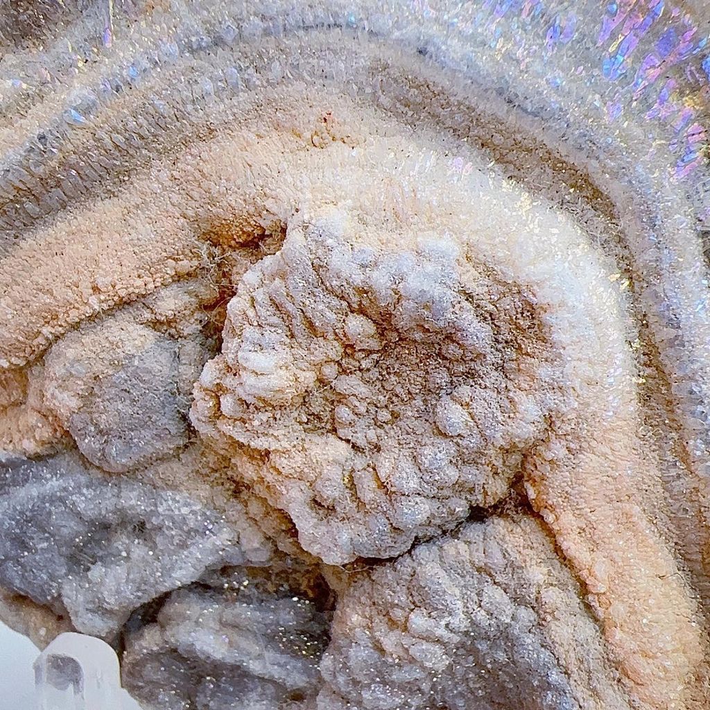 LINE_ALBUM_202443_240403_2