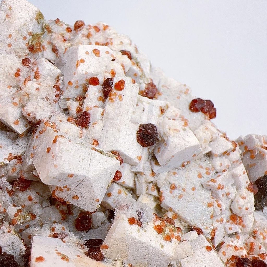 LINE_ALBUM_202443_240403_7