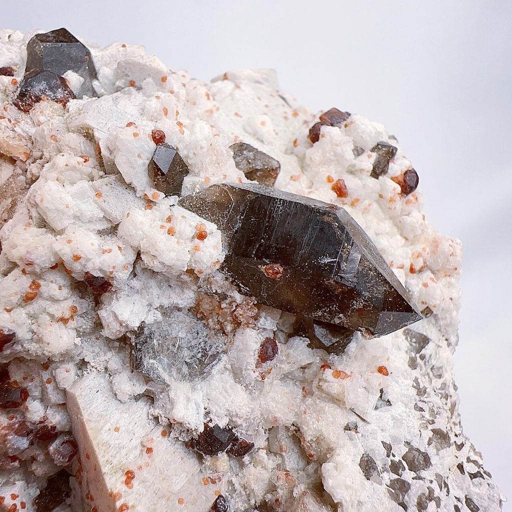 LINE_ALBUM_202443_240403_8