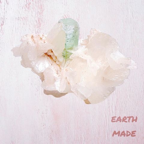 LINE_ALBUM_202448_240408_183