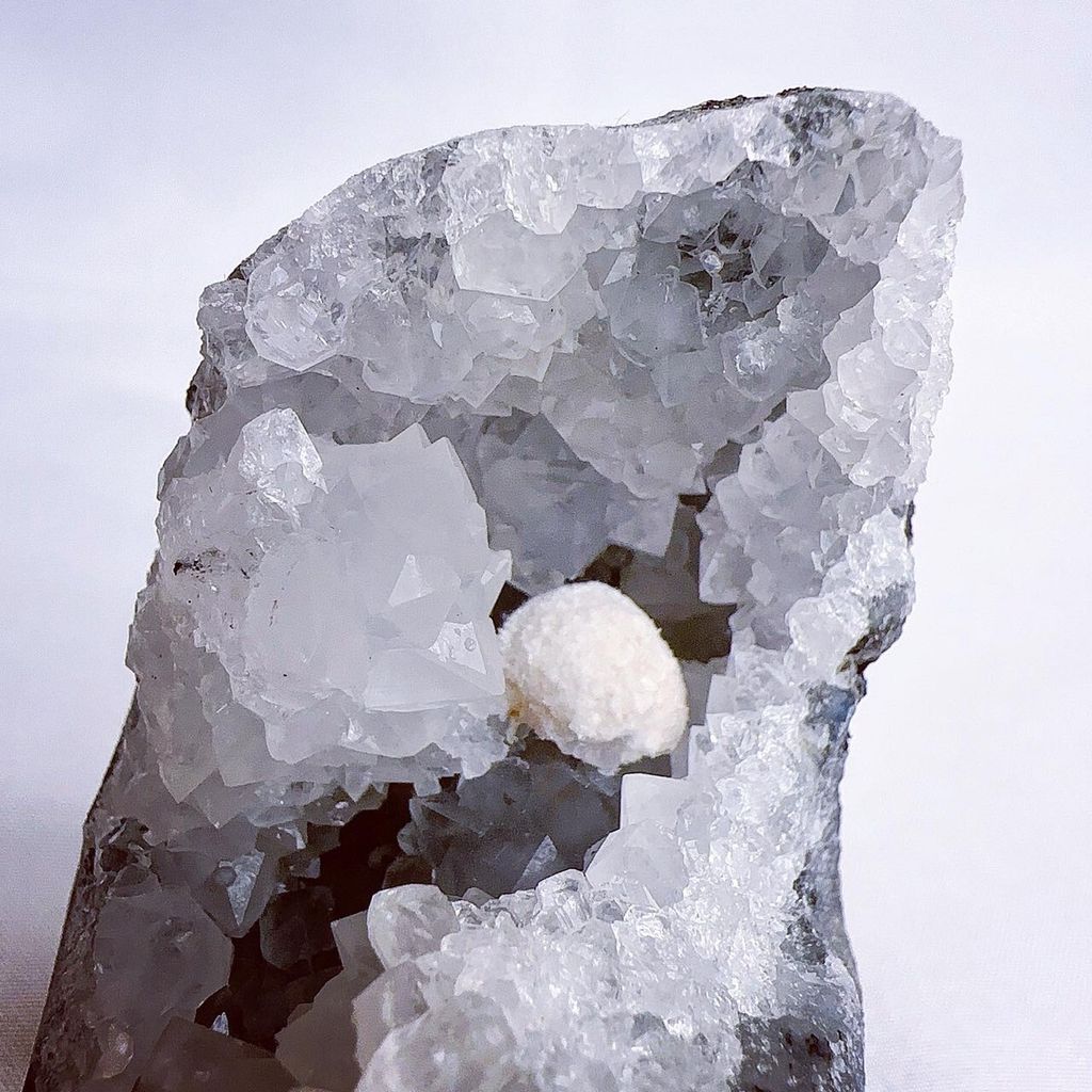 LINE_ALBUM_202448_240408_124