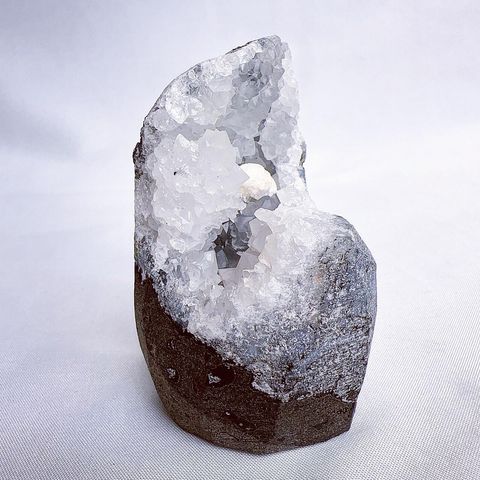 LINE_ALBUM_202448_240408_125