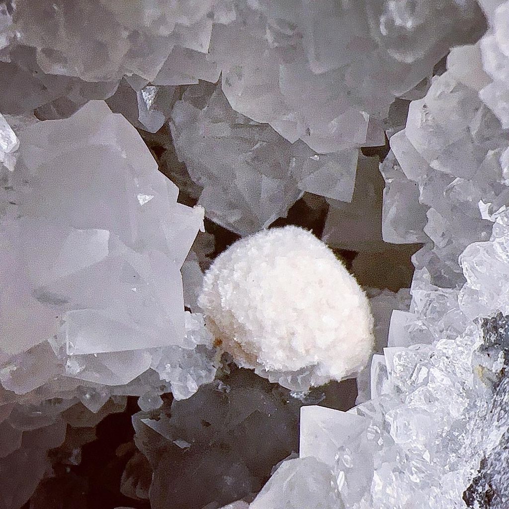 LINE_ALBUM_202448_240408_123