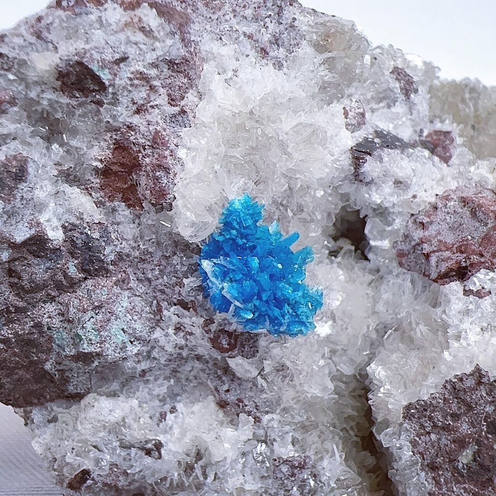 LINE_ALBUM_202448_240408_104