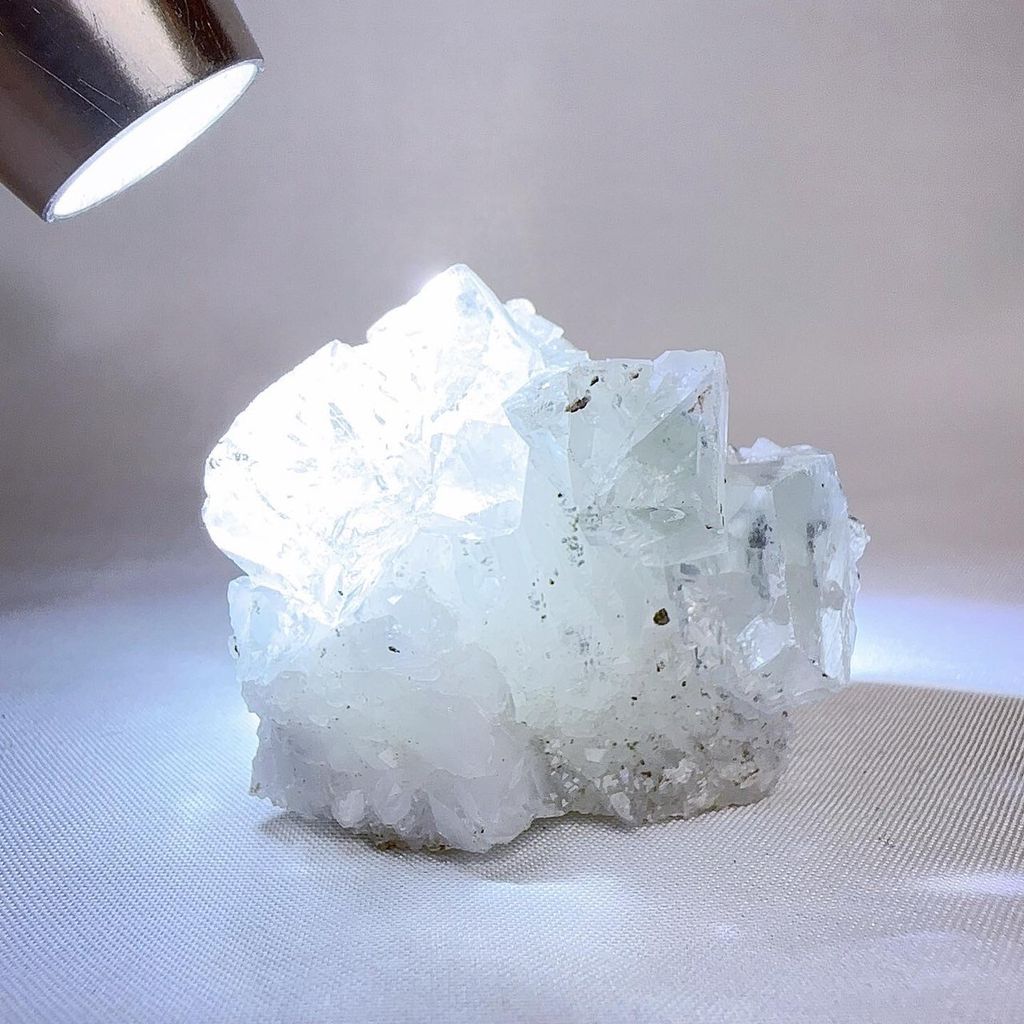 LINE_ALBUM_202448_240408_17