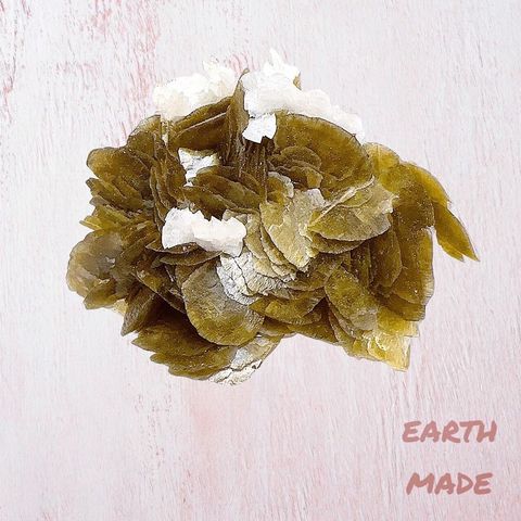 LINE_ALBUM_202448_240408_16