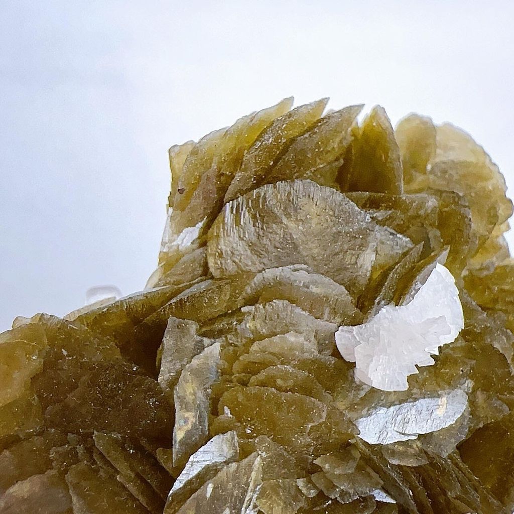 LINE_ALBUM_202448_240408_12