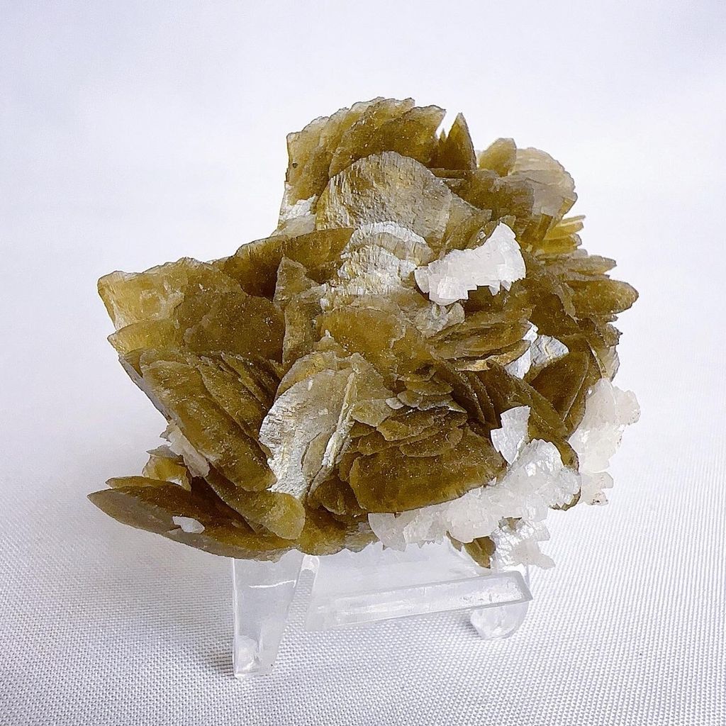 LINE_ALBUM_202448_240408_15