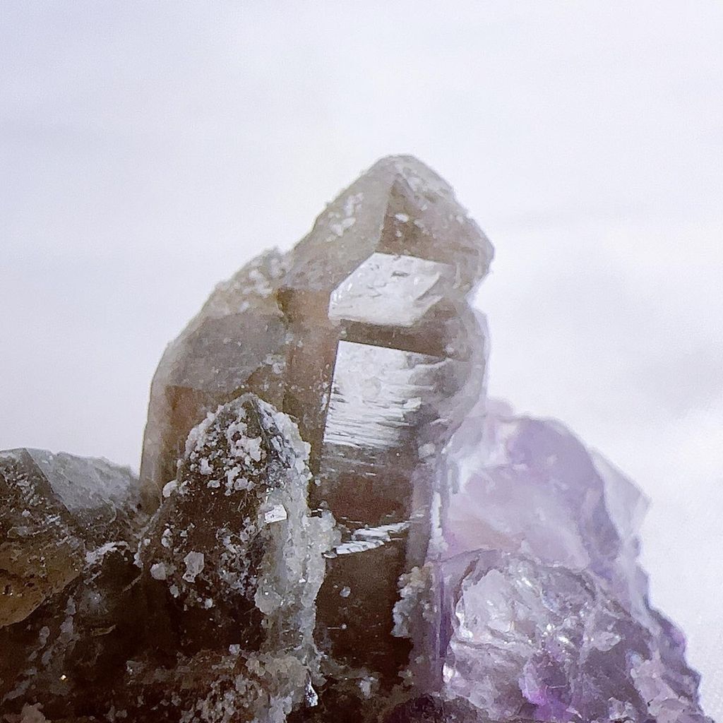 LINE_ALBUM_2024415_240415_37