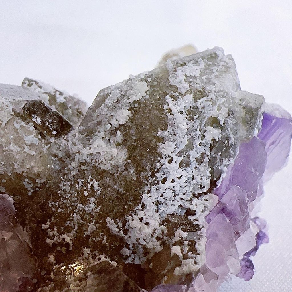 LINE_ALBUM_2024415_240415_38