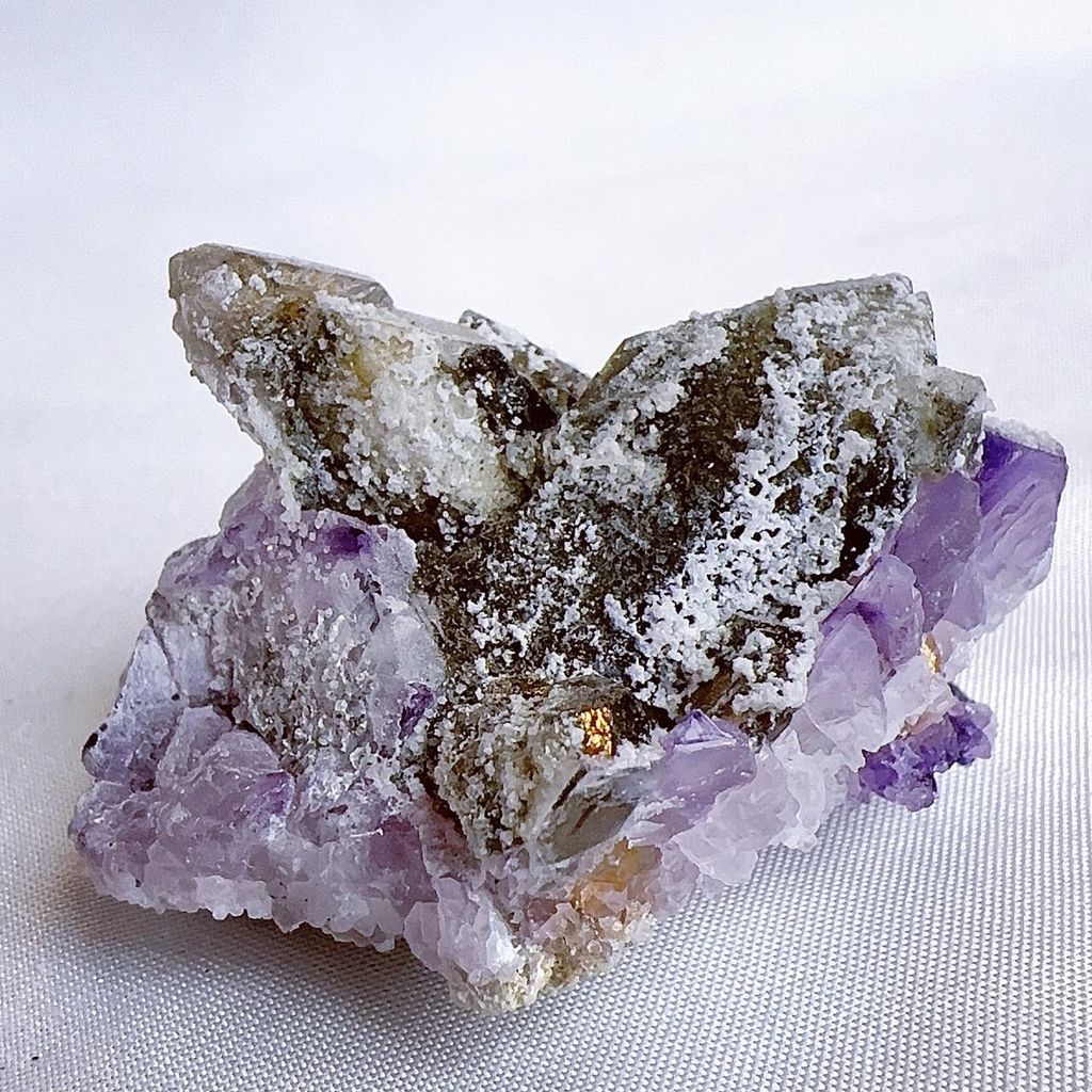 LINE_ALBUM_2024415_240415_40