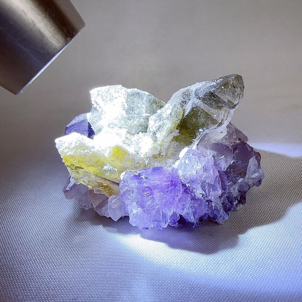 LINE_ALBUM_2024415_240415_36