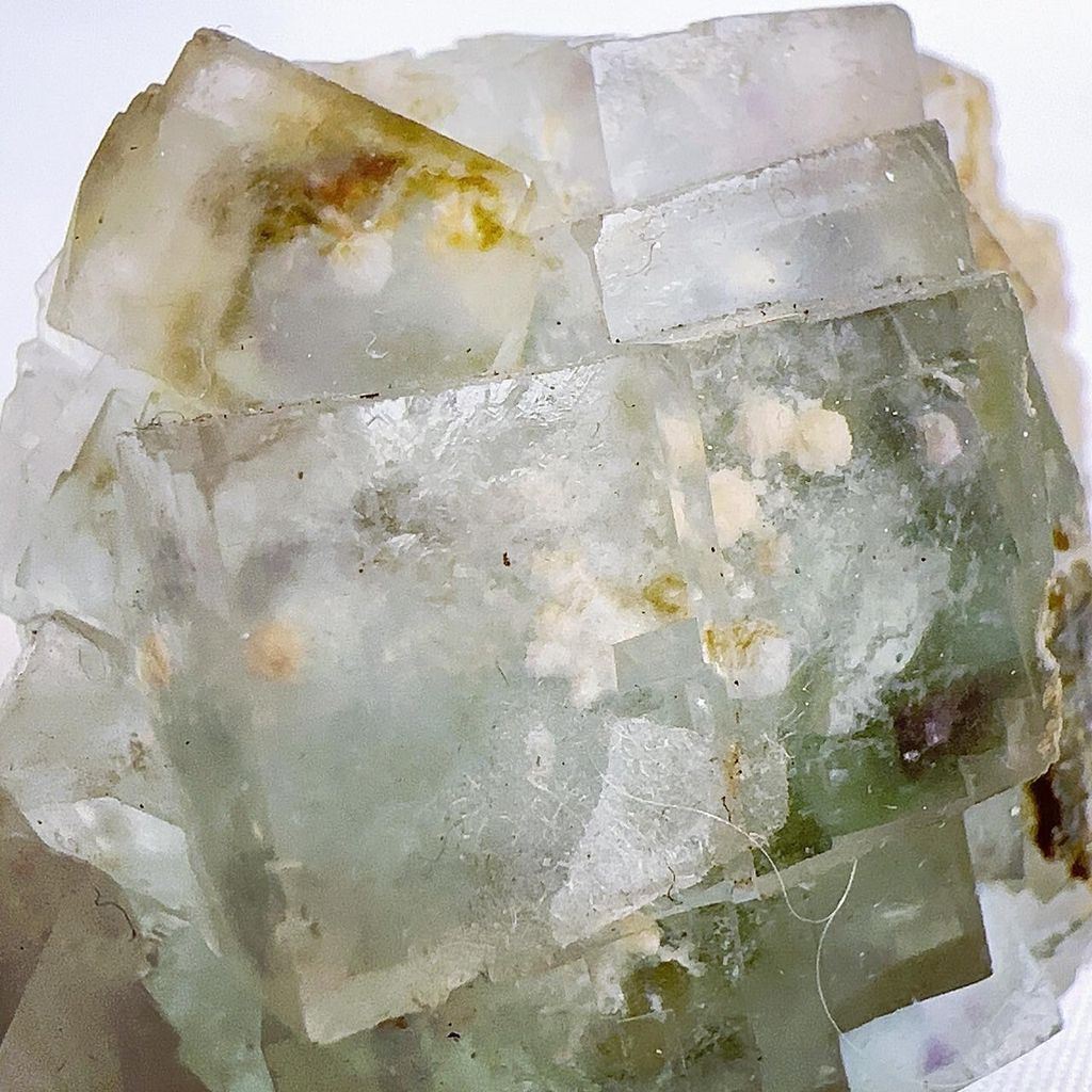 LINE_ALBUM_2024415_240415_64