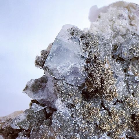 LINE_ALBUM_2024417_240417_32